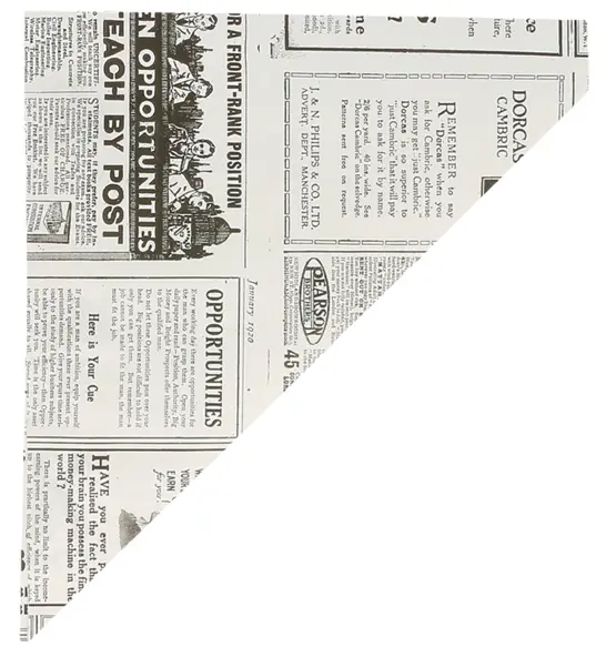 SACHET EN POINTE INGRAISSABLE "TIMES" 100G 24X17  250PCS