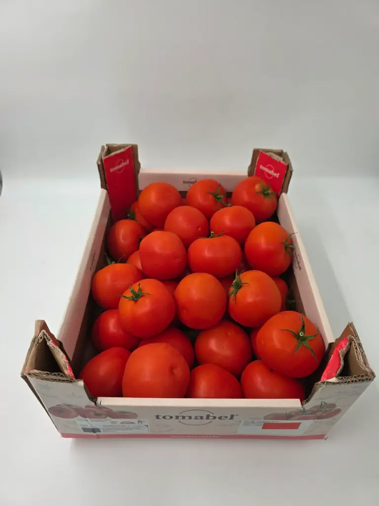 TOMATE CAISSE 6KG - prix au cours