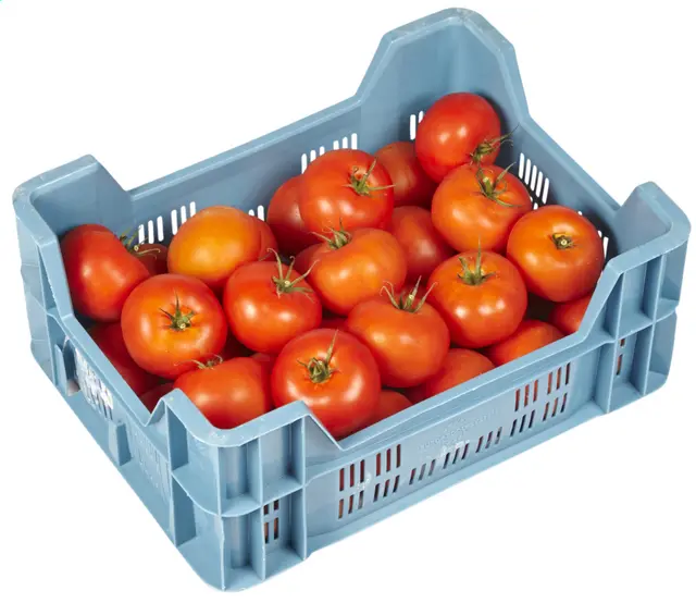 TOMATE CAISSE 6KG - prix au cours