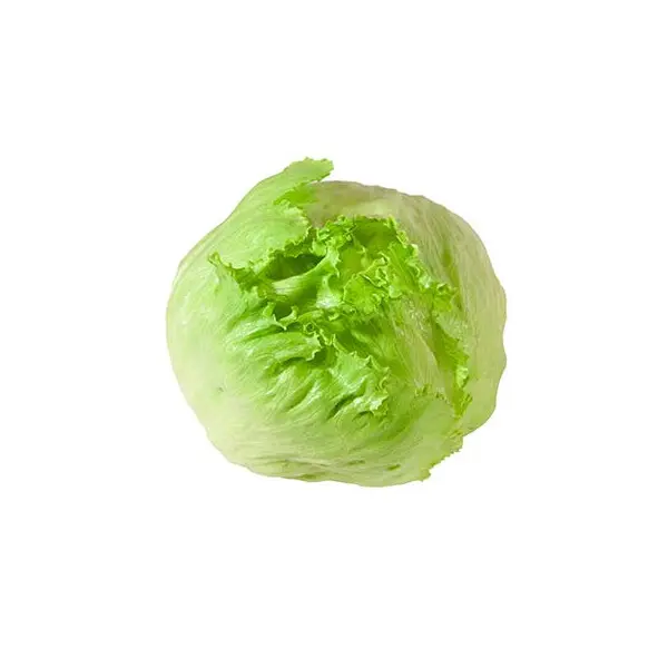 SALADE ICEBERG CAISSE - prix au cours