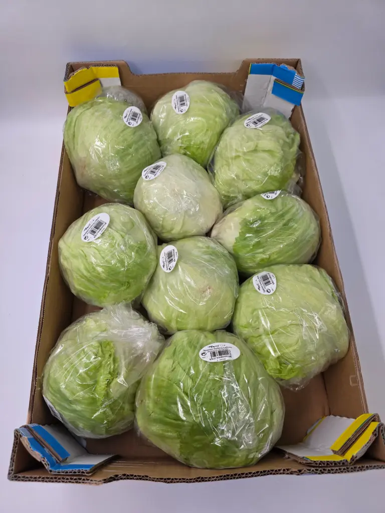 SALADE ICEBERG CAISSE - prix au cours