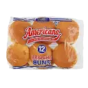 PAIN 1002 X48 AMERICANA (227146)