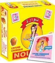 LEVURE CHIMIQUE 10G X100 NOUARA {10G*100*5*}