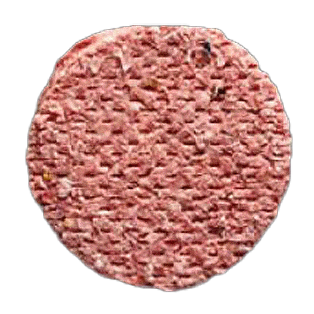 STEAK 180G HALAL 100% 6KG INICIA