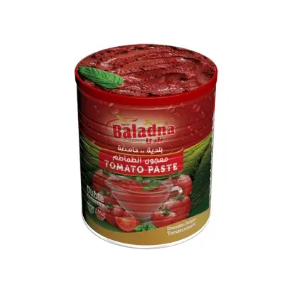CONCENTRE DE TOMATE BALADNA 800G {C12}
