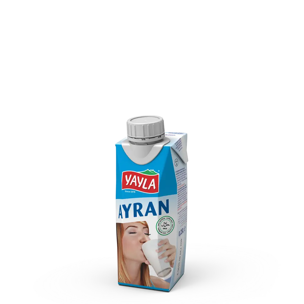 YAYLA AYRAN 25CL -B {P12}