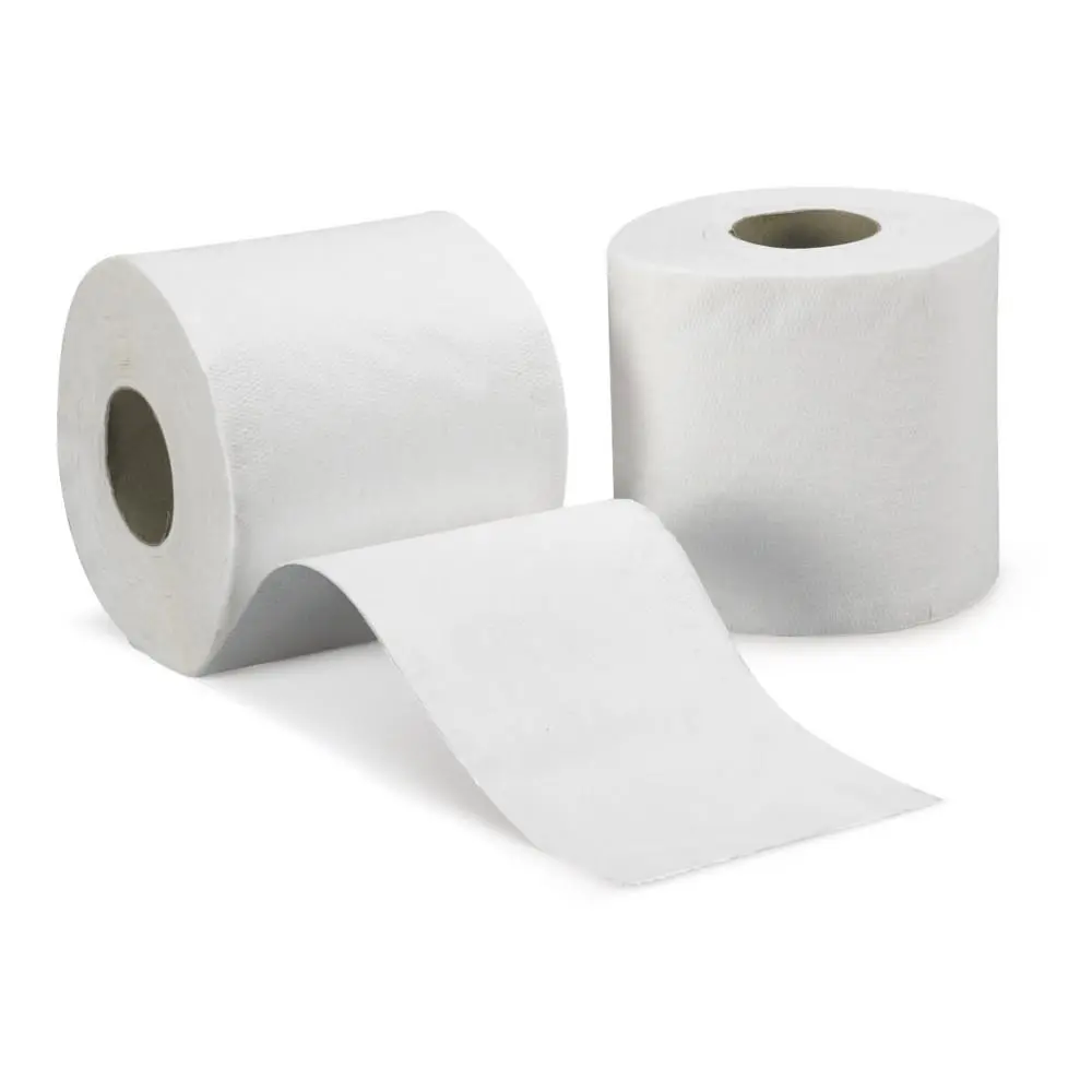 PAPIER TOILETTE 2 PLIS BLANC X12 (12X8)