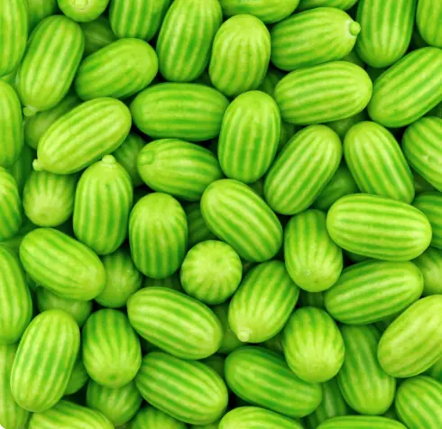 CHEWING GUMS MELON FINI HALAL 90G X12 