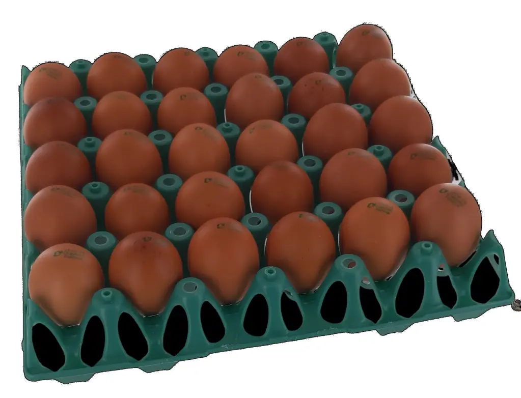 OEUFS FRAIS CLASSE S X30 {C8}