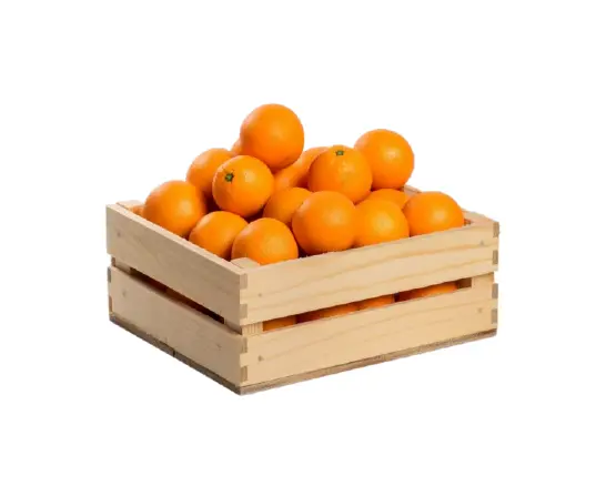 ORANGE A JUS EGYPTE AU KG