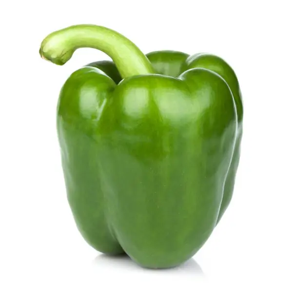 POIVRON VERT