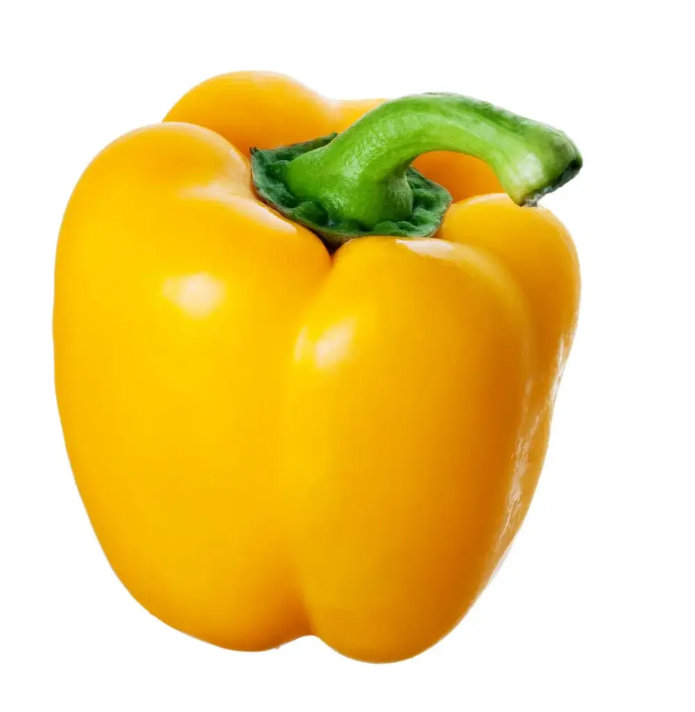 POIVRON JAUNE AU KG 