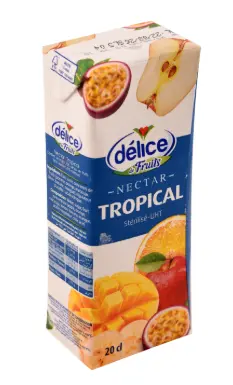 JUS TROPICAL MINI BRIQUE 20CL X6 DELICE 