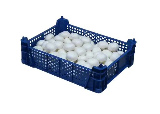 [ART-00104] CHAMPIGNONS CAISSE 3KG - prix au cours