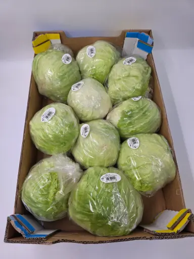 [ART-00106] SALADE ICEBERG CAISSE - prix au cours