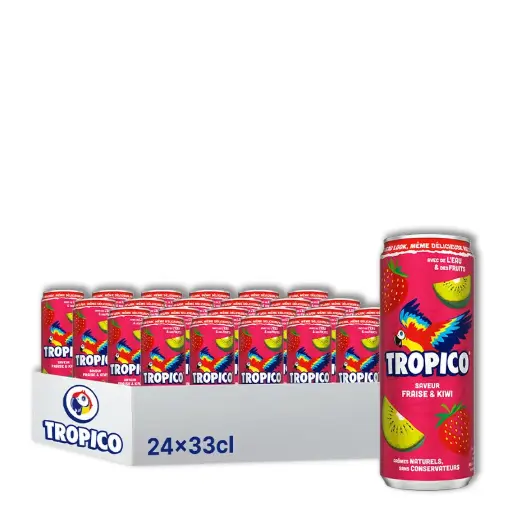 [ART-02023] TROPICO FRAISE KIWI 33CL X24