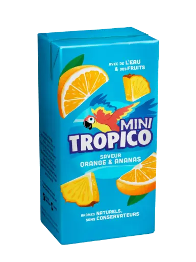 [ART-07138] TROPICO ORIGINAL BRICK 20CL*6*5