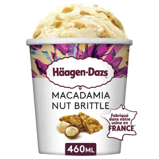 [ART-02503] GLACE MACADAMIA 460ML HAAGEN DAZS {C8}