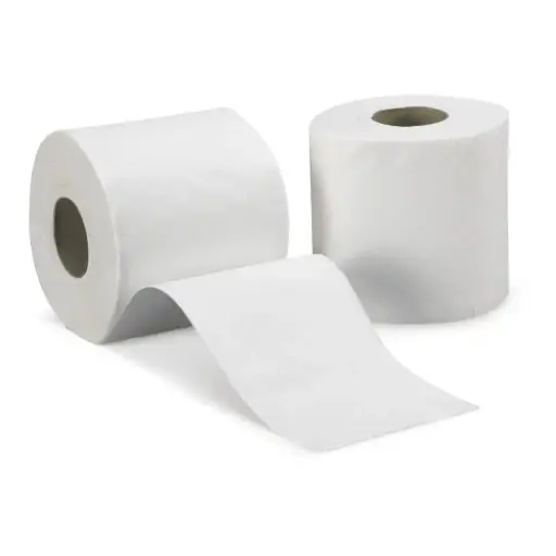 [ART-04418] PAPIER TOILETTE 2 PLIS BLANC X12 (12X8)