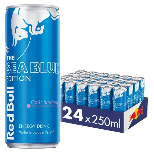 RED BULL SEA BLUE JUNEBERRY 24 X 250ML