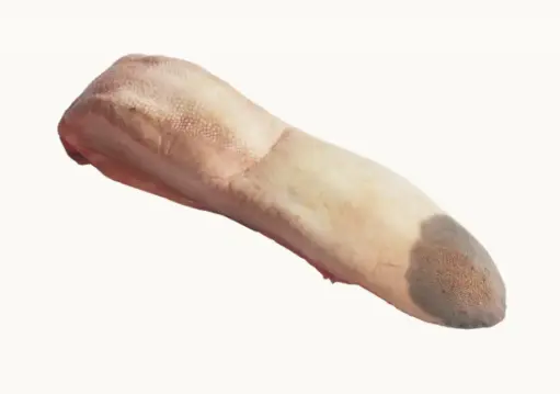 LANGUE DE BOEUF