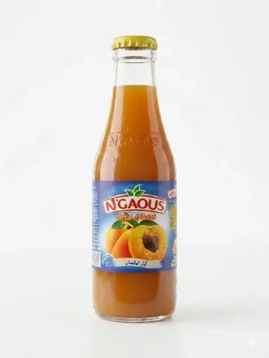 NGAOUS IVP 17CL X24