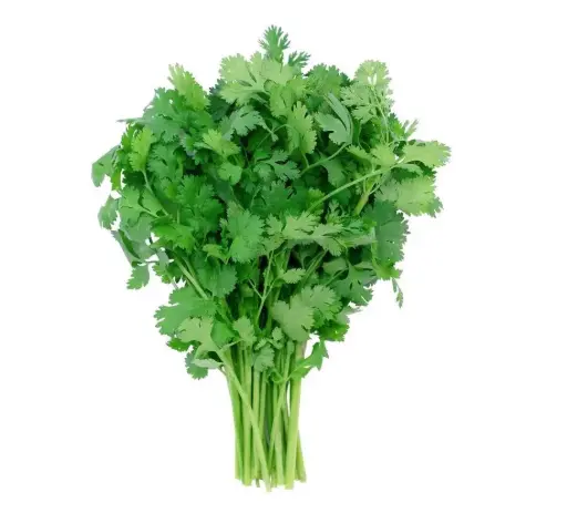 CORIANDRE FRAICHE - 1PCS