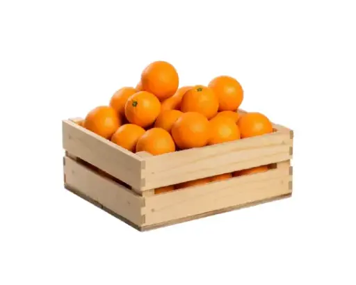 ORANGE A JUS EGYPTE AU KG