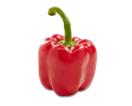 POIVRON ROUGE AU KG 