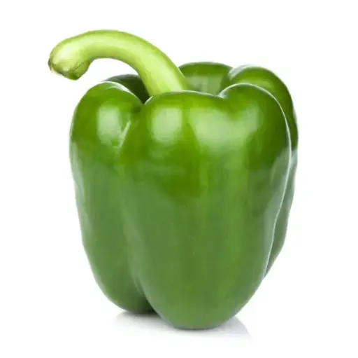 POIVRON VERT AU KG