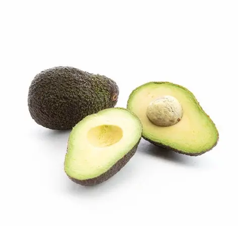 AVOCAT 