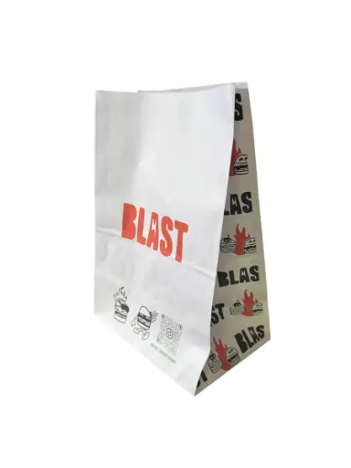 SAC KRAFT "BLAST" (27*17*40) X300