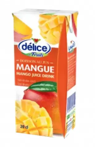 JUS MANGUE MINI BRIQUE 20CL X6 DELICE 
